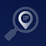 IP域名地址查询工具